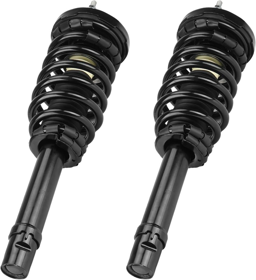 Front Spring Strut Shock Absorber for Hyundai Azera 2006-2011, for Sonata 2006-2010, Complete w/Coil Springs Struts Shocks Absorbers Replace for 172281, 2007 2008 2009