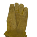 Glove