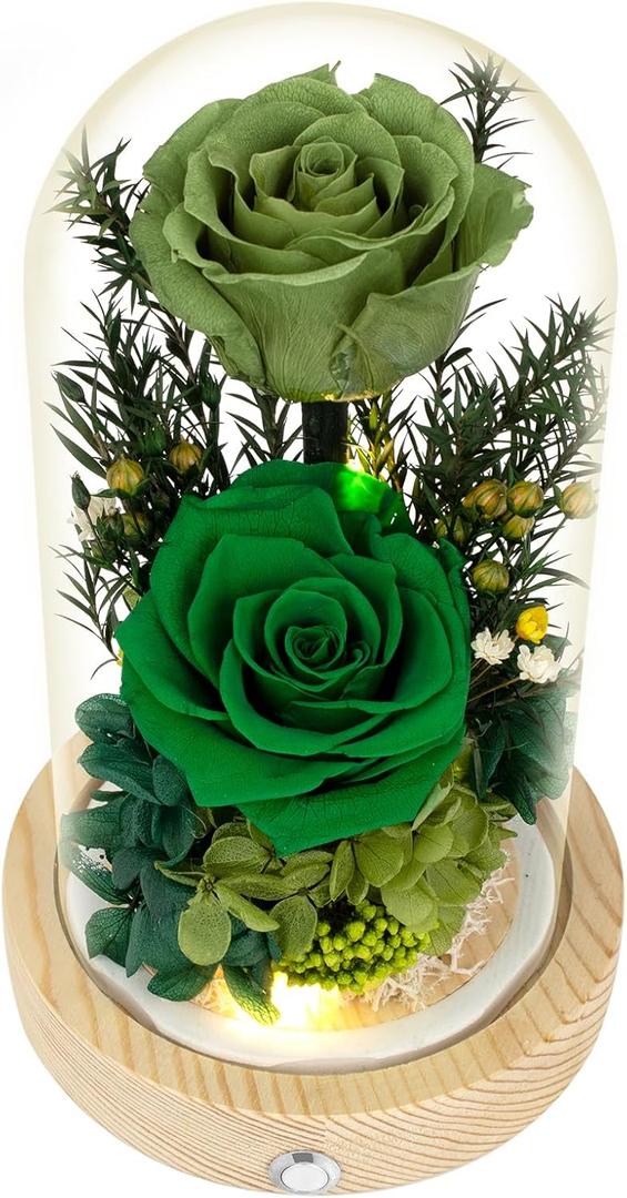 Preserved Roses & Fresh Flowers Bouquet  Gift for Women, Roses That Last Forever, Flowers for Delivery Prime, Green Roses  Birthday, Mothers Day & Christmas