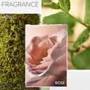 Pureology Hydrate Conditioner - For Dry or Color Treated Hair, Nourishing Conditioner to Restore Moisture and Seal in Hydration, Vegan (9 Fl Oz (Pack of 1))