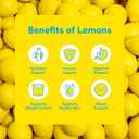 Lemon Perfect Watermelon, Hydrating Flavored Lemon Water, Zero Sugar, Delicious and Refreshing, Organic, 15.2 fl oz Bottles (12-Pack) (EXP 06/17/27)