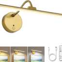 Picture Lights for Wall Wireless Rechargeable LED Light with Remote, Adjustable Arm, Gold Battery Operated Display Lighting for Paintings, Bedroom, Gallery Wall Décor (Gold, 12.6 inch - 1Pack)