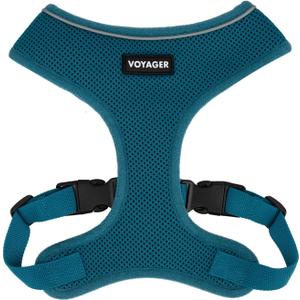 Best Pet Supplies Voyager Aerolite No Pull Mesh Dog Harness, Reflective Stitching, Breathable Harness, Adjustable for Walking, Training, Running, Heavy Duty and Durable, Turquoise, L (L (Chest: 20 - 25"))