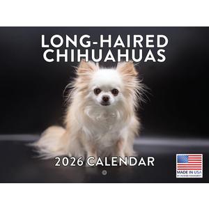 Long Haired Chihuahua Calendar 2026 Monthly Wall Calendar 12 Month | American Made In The USA