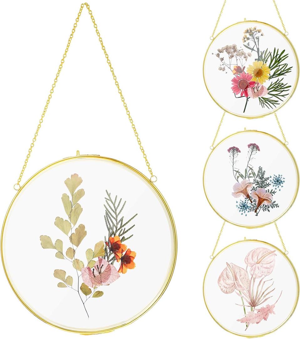Qunclay 4 Pcs Double Glass Frame for Pressed Flowers Round Hanging Herbarium Floating Flower Press Frame Clear DIY Vintage Artwork Display holder(5 Inch,Gold)