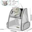 Texsens Pet Backpack Carrier for Small Cats Dogs | Ventilated Design, Safety Straps, Buckle Support, Collapsible | Designed for Travel, Hiking & Outdoor Use (Light Gray)