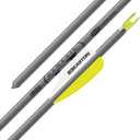 Easton Genesis XX75 Aluminum Arrows with Diamond Vanes, 6 Pack, SILVER