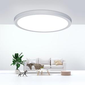 Flush Mount Ceiling Light Fixtures,24W Flat led Light for Ceiling,6000K 2200LM Ultra Thin Round White Lamp for Bedroom Kitchen,Bathroom,Garage,Living Room, Dining Room (1PCS-9Inch)