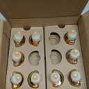 Air Wick Scented Oils 0+10 Hawaii Exotic Papaya & Hibiscus Flower, PCS 9