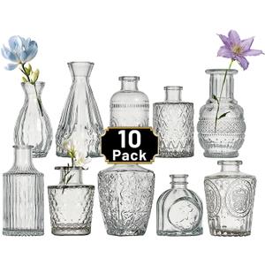 Glass Bud Vase Set of 10 Pcs Small Minimalist Vases for Flowers, Vintage Rustic Home Decor for Table Centerpiece Wedding Party, Modern Clear Aromatherapy Bottle for Living Room Bedroom