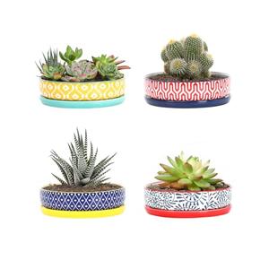 Selamica Ceramic Succulent Pots, Shallow Succulent Planters with Drainage Hole & Saucer, Indoor Plant Pots for Cactus, Home Decor，Assorted Colors,6 inch，Set of 3