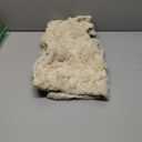 DFXSZ Christmas Pillow Covers 20x20 inch Set of 2 Beige Christmas Tree Decoration Soft Plush Faux Fur Jacquard Throw Pillows for Bedroom Sofa Holiday Festivals Winter Home Decor PTK070C20