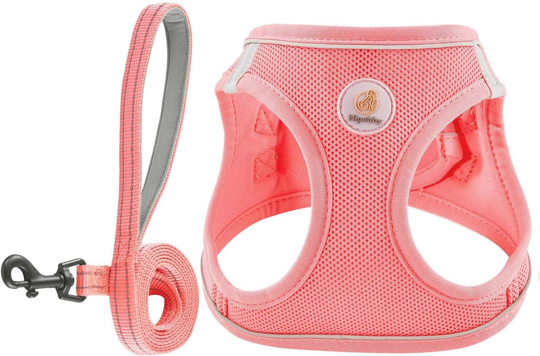 Dog Harness and Leash Set, No Pull Soft Mesh Puppy Harness for Small Medium Dogs, Cats - Step in Reflective Breathable Lightweight Vest Harness for Walking, Training - Pink, S (S(Chest: 15.5"-17"))