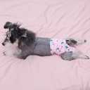 CuteBone Dog Diapers Female Washable Small Medium Large 3 Pack Reusable Doggie Diapers Puppy Period Pants for Doggy Heat Cycle Peeing D31XS