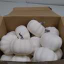 Liliful 50 Pcs 3.15 Inch Fall Artificial Pumpkins Fake Pumpkins Decor Fall Harvest Lifelike Pumpkin Bulk Foam Cushaw for Autumn Halloween Thanksgiving Table Home Kitchen Decorations (White)