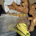 8-Set Gender Reveal Baby Shower Games Set with Teddy Bears Cards & Gift Bags, Totally 48Pcs Quick Setup Diaper Changing Bottle Chug Games, Gender Reveal Party Baby Shower Prizes Gifts for Adults