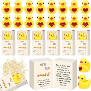 Cinnvoice 30 Set Employee Appreciation Gifts Bulk for Teacher Nurse Coworkers Box Breathing with Resin Animal Graduation Volunteer Secretary Office Staff Thank You Gifts (Duck Styles)