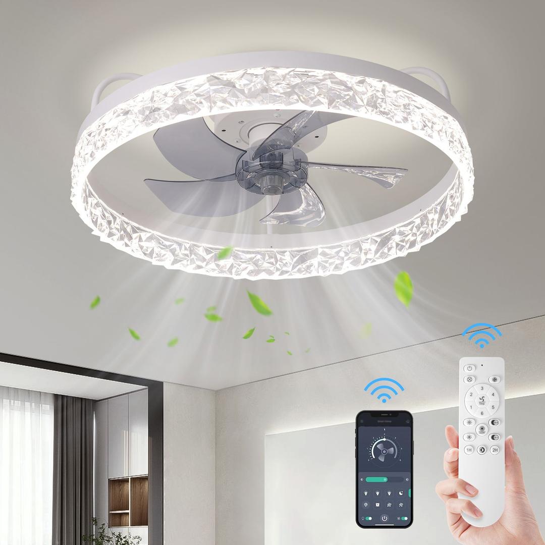 Caged Ceiling Fan Light with Remote, 21" Small Flush Ceiling Light with 3 Enclosed Blades and 6 Wind Speeds for Bedroom, Living Room (1095 Black)