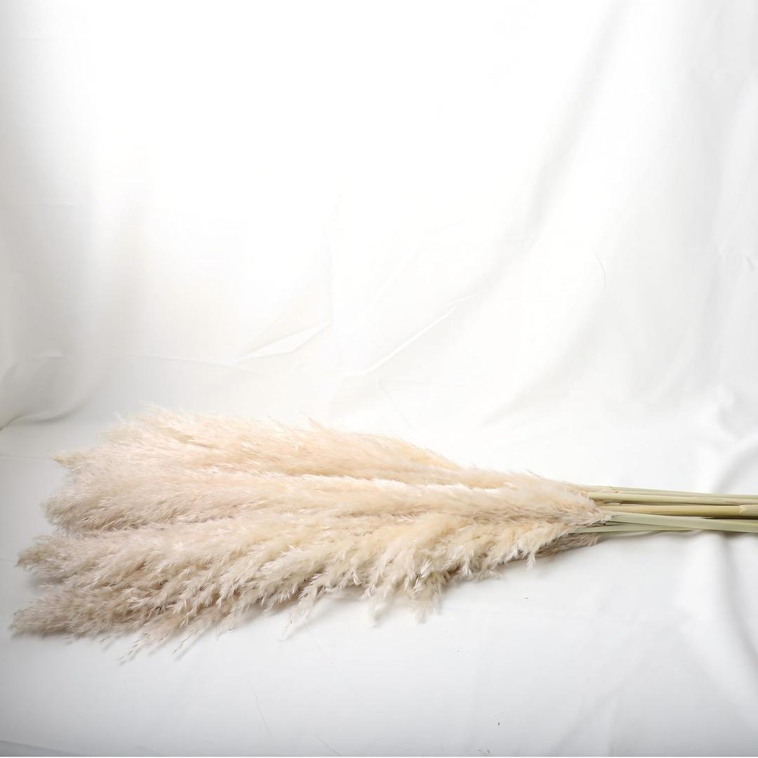 40" inch Natural Pampas Grass