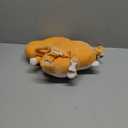 JunNeng Baby Head Protector Backpack, Toddler Walking Fall Head Protection, Orange Cogri