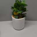 AceList Nearly Natural Small Fake Lemon Tree for Lemon Decor, 14.6 Inches Artificial Lemon Tree with White Pot Potted Plant Perfect for Kitchen, Home, Indoor