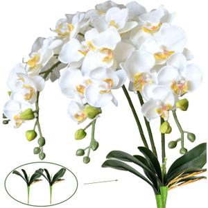 FagusHome 31" Artificial Silk Phalaenopsis Flowers 3 Pcs with 2 Bundles Leaves Artificial Orchid Flowers Stem Plants in Fake Butterfly Phalaenopsis Flowers for Home Wedding Party Dcor (White)