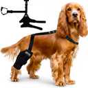 Dog Knee Brace  Adjustable Hind Leg Support for Torn ACL, Joint Pain, Arthritis & Injury Recovery. Comfortable, Vet-Recommended Dog Leg Brace (Small Brace with Collar)