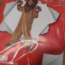 Morph Deluxe Lion Costume Kids, Lion Mane Costume Halloween Costumes For Boys, Girls and Toddlers, Kid Halloween Costumes.   Size XL