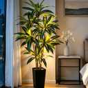6FT Dracaena Artificial Plant Tall Artificial Plants Indoor Lighted
