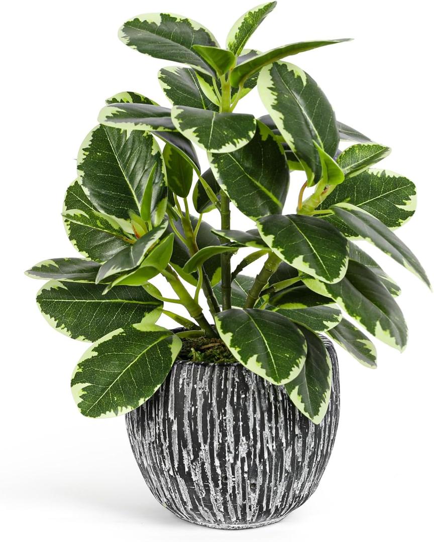 Artificial Plants Indoor Outdoor, Faux Variegated Oak Leaf Plant, Fake Potted Plants Artificial Decor for Coffee Table Desk Shelf, Faux Plants Indoor for Living Room Bathroom Bedroom Entryway Office (Green#02)