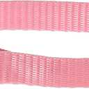 LupinePet Basics 1/2" Pink 10-16" Adjustable Collar for Small Dogs