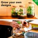 DIY Terrarium Kit for Plants Build a SelfSustaining Closed Ecosystem Supplies for Up to68 oz(12Liter) Succulents, AirPlants(Tillandsia), Fern Jar Not Included