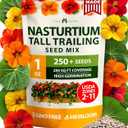 HOME GROWN Nasturtium Seeds Dwarf Tall Trailing Mix 250+ Edible Flower Seeds for Planting Outdoors Fast Germination, Low-Maintenance Climbing & Trailing Nasturtium (Tropaeolum majus) (1-Pack)