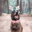 Elegant little tail Christmas Dog Collar, Christmas Deer Print Pet Collar Dogs Holiday Collars with Bow Pink Cute Winter Girl Puppy Bow Adjustable Pet Collars for Large Dogs (Large (Pack of 1))