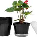 12 Pack Plant Pots, 8 Inch Plant Planter with Clear Saucer, Plastic Pots for Plants Indoor and Out Door Such as Strawberry, Herb and Flowers (Black)