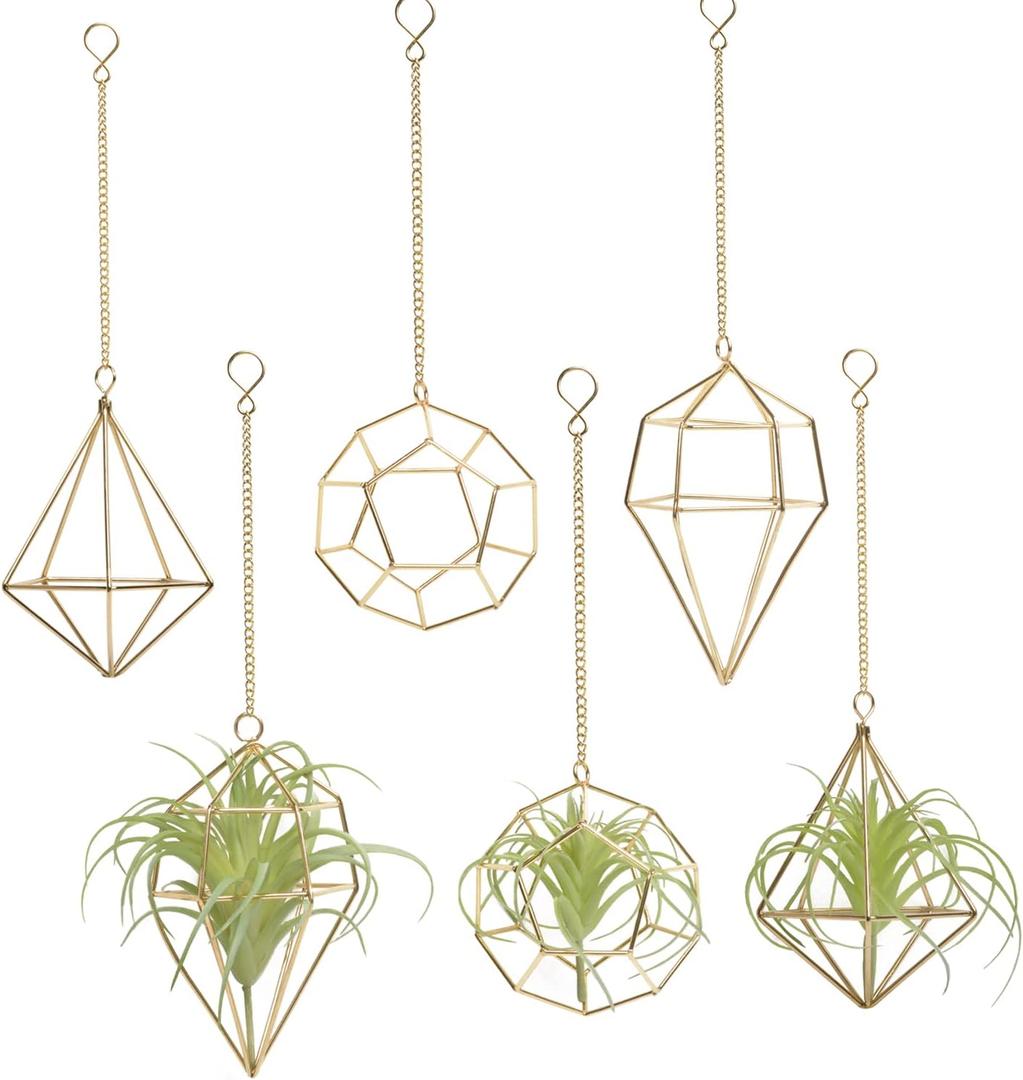 Gold Hanging Air Plants Holders Small Tillandsia Airplants Hangers 6 Pack Geometric Wire Himmeli Air Fern Display Planter with Chains Airferns Metal Hanging Holders