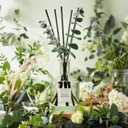 COCORRNA Wild Mint & Eucalyptus Reed Diffuser 6.76 oz Essential Oil with 8 Reeds & Real Eucalyptus Sticks, Home Fragrance for Bedroom or Bathroom Dcor