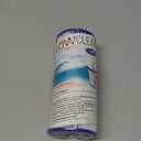 POOL FILTER CARTG I 2PK (2 Count (Pack of 1))