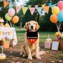 5 x Happy Birthday Dog Bandanas My Birthday Pet Scarfs HBD Party Dogs Kerchief Reversible Adjustable Triangle Bibs Scarf Accessories for Dogs Pets Gifts 2 Pack