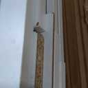 Bookcase Adjustable Storage Shelves,60-Inch Bookshelf,5-Tier Modern Wood Bookcase for Bedroom, Office, Living Room & Library(White)