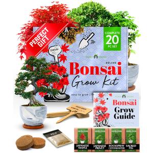 HOME GROWN Bonsai Tree Kit  Premium Ceramic Starter Set with 4 Bonsai Varieties  Easy Indoor Gardening Gift for Men & Women  Unique Plant Kit for Beginners & Nature Lovers