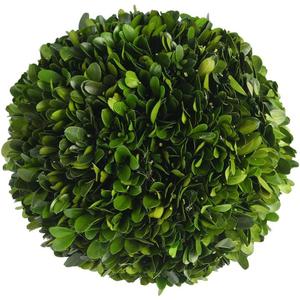Real Boxwood Decorative Ball Large 10 inches Great for Wedding Home Decoration, Vase Bowl Filler Realistic Full Green Plant, Indoor Decor(Boxwood)