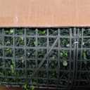 Grooy 48"x 120"(40 sq.ft) Artificial Boxwood Roll Panels with Flowers, UV-Anti Faux Ivy Leaves Privacy Fence Screen, Grass Wall Roll Panels for Indoor Home Decor and Outdoor Garden Backyard