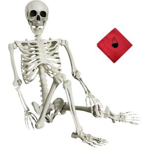 5.4Ft Halloween Skeleton - Life Size Full Body Realistic Human Bones with Posable Joints for Halloween Pose Skeleton Prop Decoration