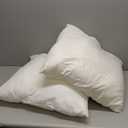 Utopia Bedding Throw Pillows Insert (Pack of 2, White) - 22 x 22 Inches Bed and Couch Pillows - Indoor Decorative Pillow, White 