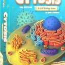 Cytosis: A Cell Biology Board Game | A Science Accurate Strategy Board Game About Building Proteins, Carbohydrates, Enzymes, Organelles, & Membranes | Fun Science Games for Adults & Family Game Night