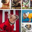 Cuban Link Dog Collar - 3/4 in Wide Metal Chain Dog Collar Venom Black, Designed Stunning Pet Accessory, Cute Luxury Jewelry Costume 22 inches