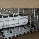 Havahart Medium 1-Door Humane Catch and Release Animal Trap for Rabbit, Skunk, Mink, and Squirrel - Professional Style Live Catch Trap - 1078SR - Humane Capture and Release