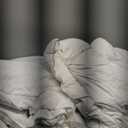 APSMILE Heavyweight Down Feather Fibers Comforter Oversized King Size - Ultra-Soft Luxury High Fill-Power Hotel-Style Thicker Winter Duvet Insert for Colder Weather/Sleeper (120x98, White)