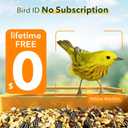 Bilantan Metal Smart Bird Feeder with Camera Solar Powered, 5G/2.4G WiFi Compatible, Lifetime Free Al Birds Identification, 2.5K Video Bird Feeder, Ultimate Gifts for Mothers Day
